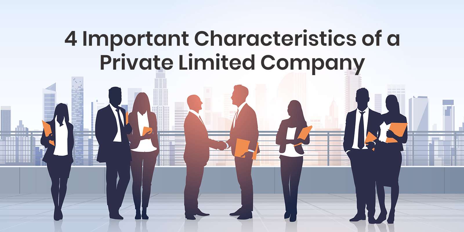 Private Limited Company